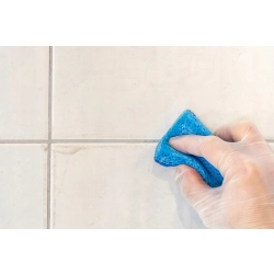 TENZI FUGI I SPOINY DO CZYSZCZENIA FUG W ŁAZIENCE KUCHNI 600ML