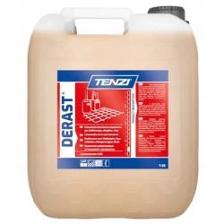 TENZI DERAST 10L SILNY ODKAMIENIACZ NA KAMIEŃ RDZĘ