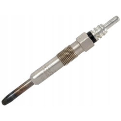 BOSCH 0 250 202 022 ŚWIECE ŻAROWE RENAULT LAGUNA MEGANE 1.9 DTI 1 SZTUKA