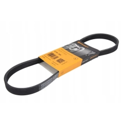 CONTINENTAL 5PK800 PASEK KLINOWY WIELOROWKOWY