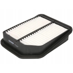 FILTR POWIETRZA FILTRON AP 173/2