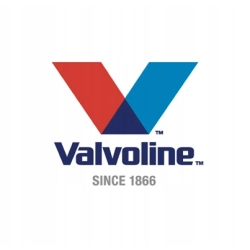 VALVOLINE DIESEL SYSTEM PROTECTOR 300ML