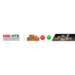 NGK ŚWIECA ZAPŁONOWA TR5B-13 (4559) FORD 1SZT