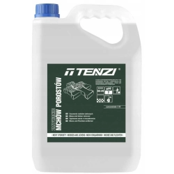 TENZI ZMYWANIE MCHÓW POROSTÓW Z KOSTKI BRUKOWEJ 5L