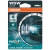 ŻARÓWKI OSRAM 2 W5W COOL BLUE INTENSE N.G. 2825CBN