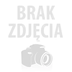 TENZI DETAILER CZYSTA FELGA CZYSZCZENIE FELG 600ML
