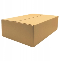 KARTON PUDEŁKO PACZKOMAT B 250x200x100 100 SZT.